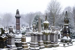 undercliffe jan 7 2011 image 4 sm.jpg